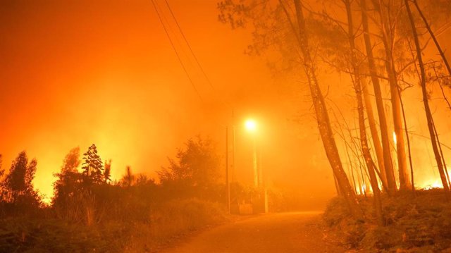 Bruxelles lance un outil pour évaluer le risque d’incendie de forêt avec des données harmonisées de l’UE