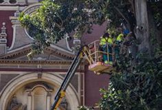 Flores rappelle au PP de Séville que des travaux tels que Las Razas sont « prévus » avec l&rsquo;UE, le gouvernement et le conseil d&rsquo;administration