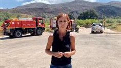 Le Consell demandera au gouvernement des ressources de l&rsquo;UE pour des plans de rétablissement complets dans les zones d&rsquo;incendie