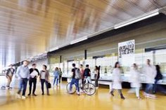 L’UPO de Séville rejoint le réseau européen qui promeut la santé par l’activité sportive