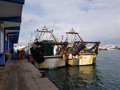 Les pêcheurs valenciens transmettront leurs revendications au gouvernement pour les porter à l’UE