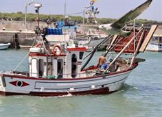 Moreno promet de travailler pour « minimiser » l’effet de l’accord de pêche, « très néfaste et injuste » pour l’Andalousie