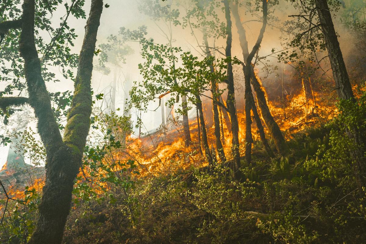 Feux de forêt: l&rsquo;UE déploie plus de 250 intervenants d&rsquo;urgence au Chili