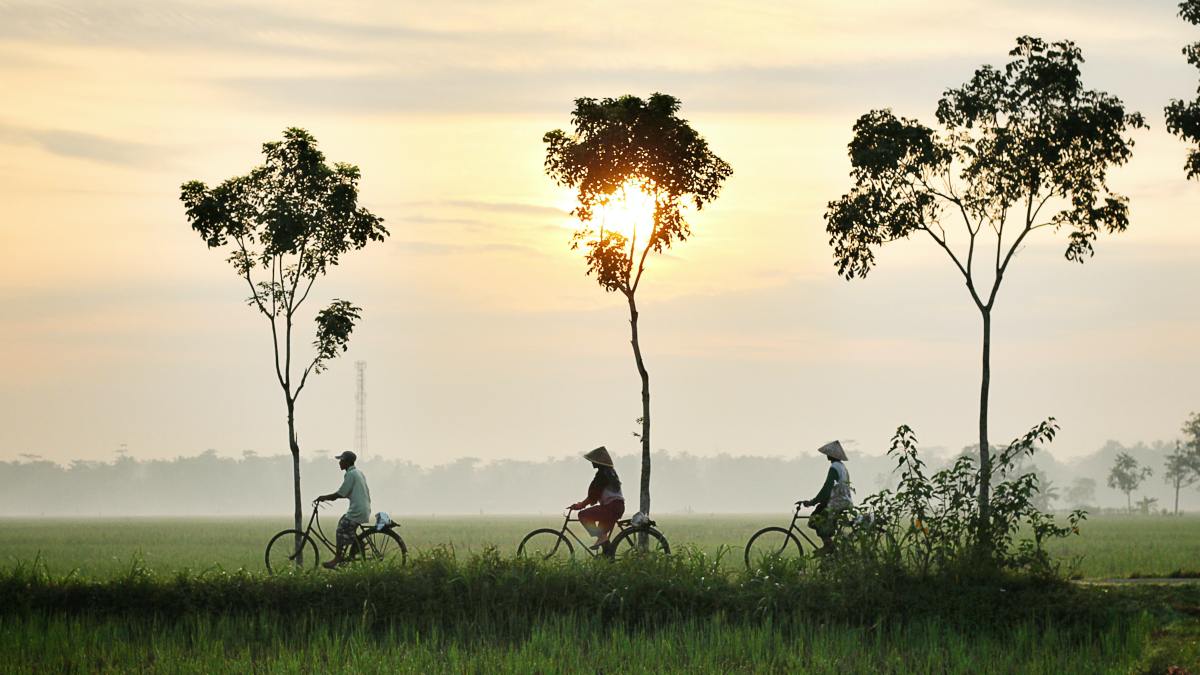 Moving Indonesia : le réseau multipartite qui construit la production de véhicules électriques en Indonésie