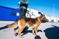 Nouvelle preuve de passage des marchandises à la douane de Ceuta et Melilla après correction de quelques difficultés techniques