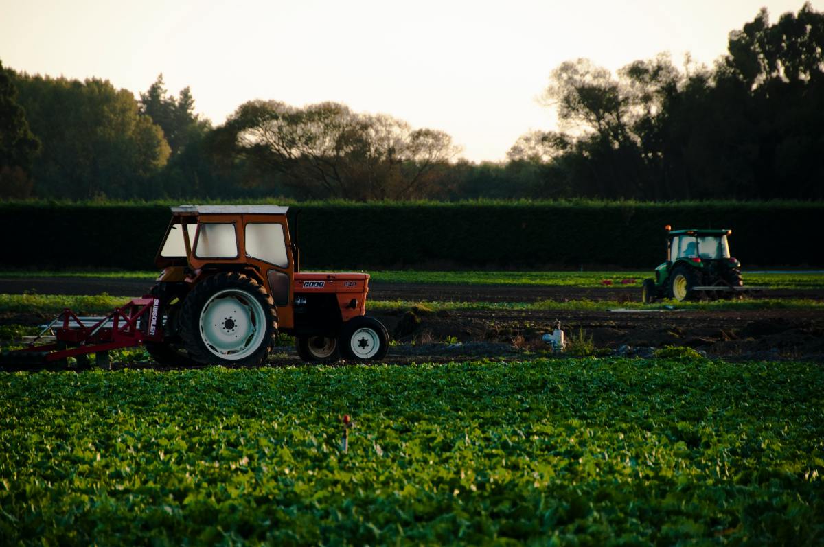 Les députés demandent un plan européen de sécurité alimentaire et plus de ressources pour les agriculteurs