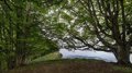 L’UE augmente son objectif d’absorption des émissions de carbone dans les forêts de 15 % d’ici 2030