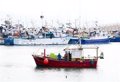 Le PP demande au gouvernement de travailler davantage car la situation du secteur de la pêche « loin de s’améliorer, s’aggrave »