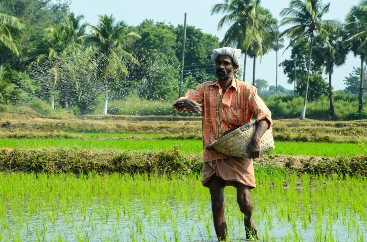 Comment les entrepreneurs ruraux favorisent l&rsquo;adoption de l&rsquo;agritech
