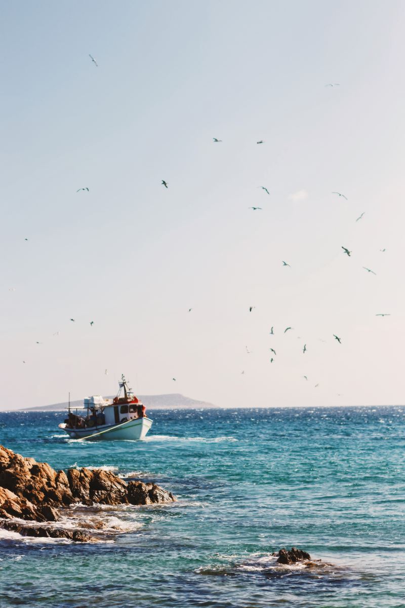 Pourquoi la pêche illégale doit être éradiquée pour des raisons environnementales et humanitaires