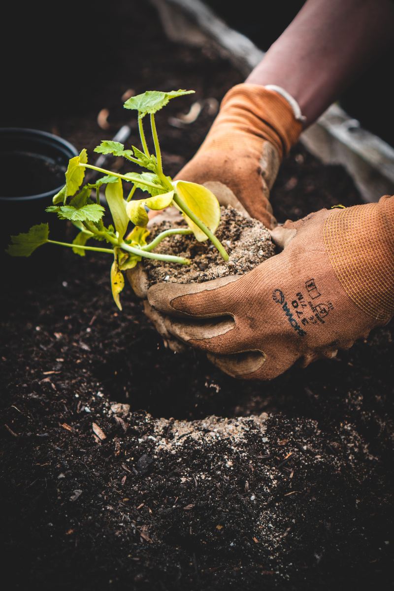 7 façons d&rsquo;accélérer la transition vers une agriculture durable