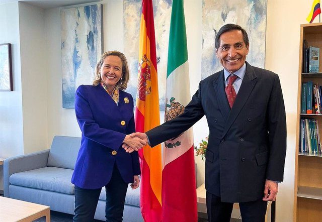 Calviño souligne que l’Amérique latine sera l’une des priorités de la présidence espagnole de l’UE