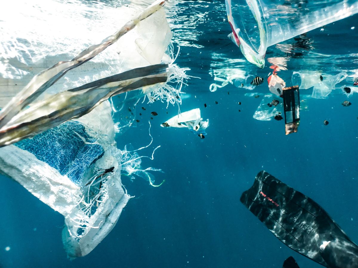Ces innovations de recharge endiguent le flot de plastiques à usage unique