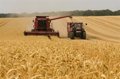 L’Union des syndicats demande au commissaire à l’agriculture d’agir après les problèmes de mise en œuvre de la PAC
