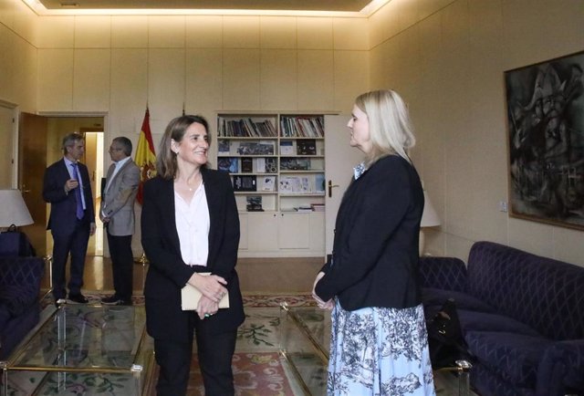 Ribera discute avec le directeur général de l&rsquo;UE pour l&rsquo;environnement de l&rsquo;agenda environnemental de la présidence espagnole