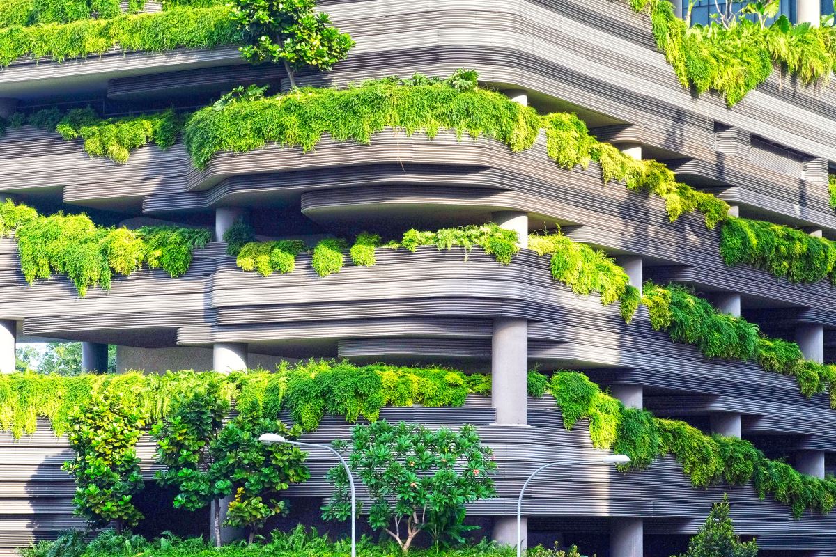 Voici comment les solutions basées sur la nature nettoient les villes du monde entier