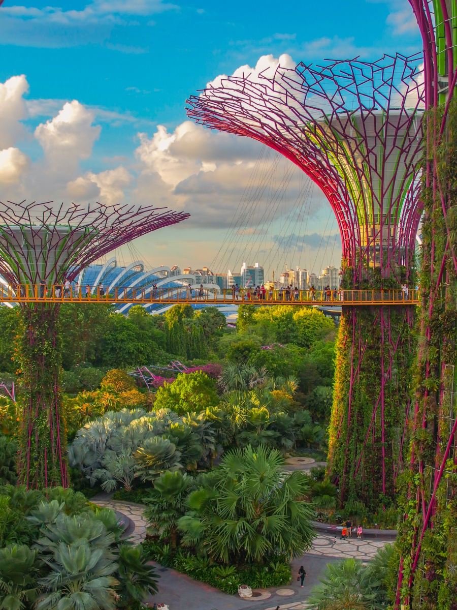 6 leçons de Singapour sur l&rsquo;amélioration des compétences pour l&rsquo;avenir