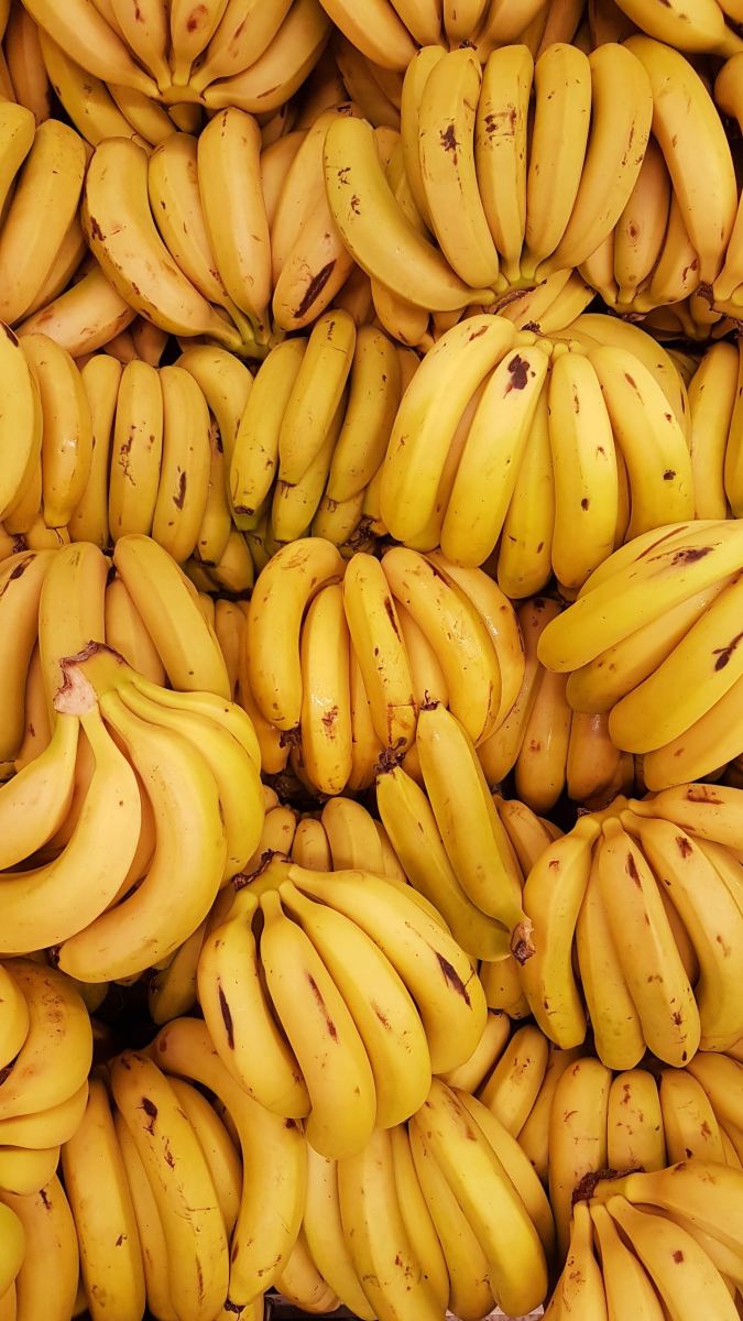 Comment le recyclage des déchets de bananes relance l’économie circulaire de l’Ouganda