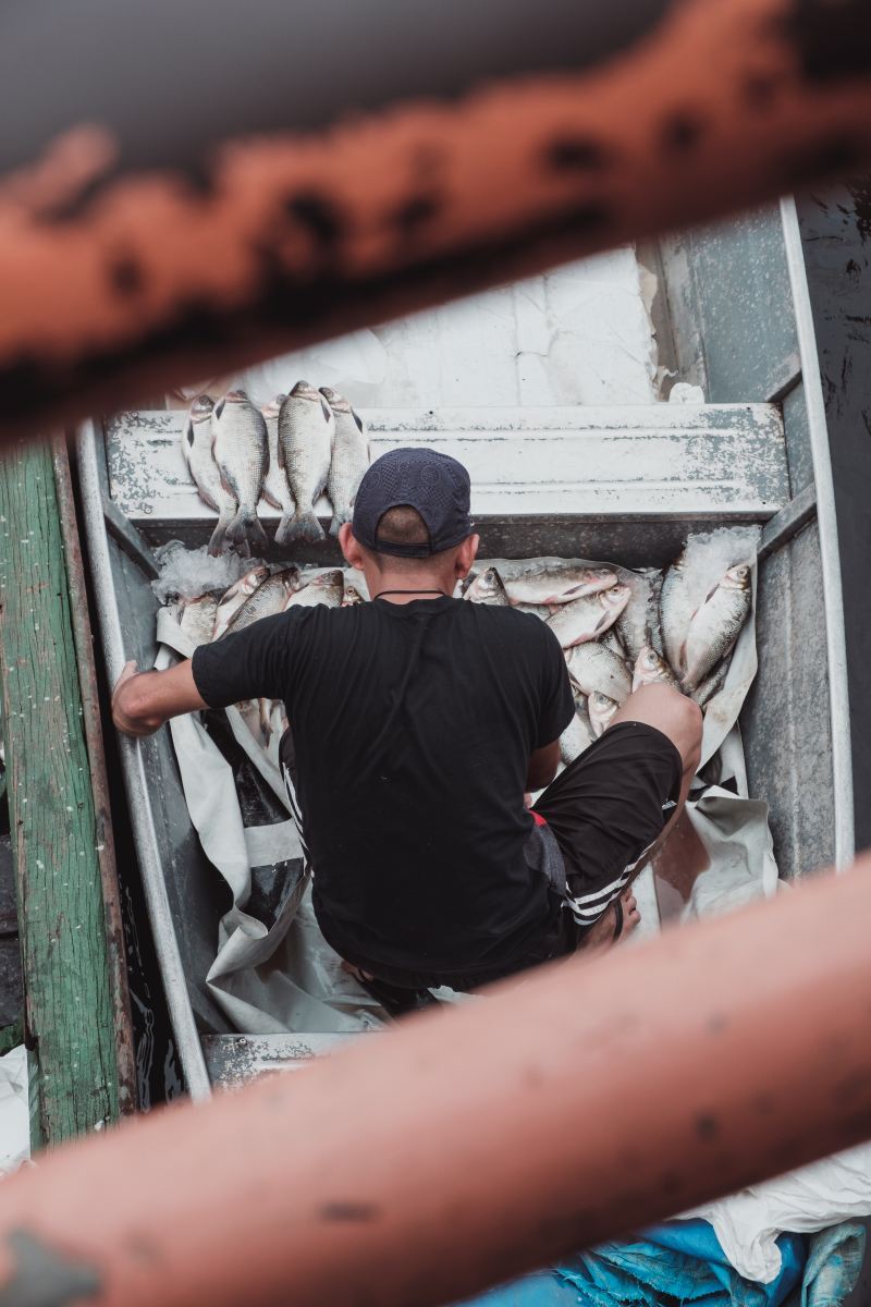 Il est temps que les gouvernements sévissent contre la pêche illégale dans le Pacifique. Voici comment