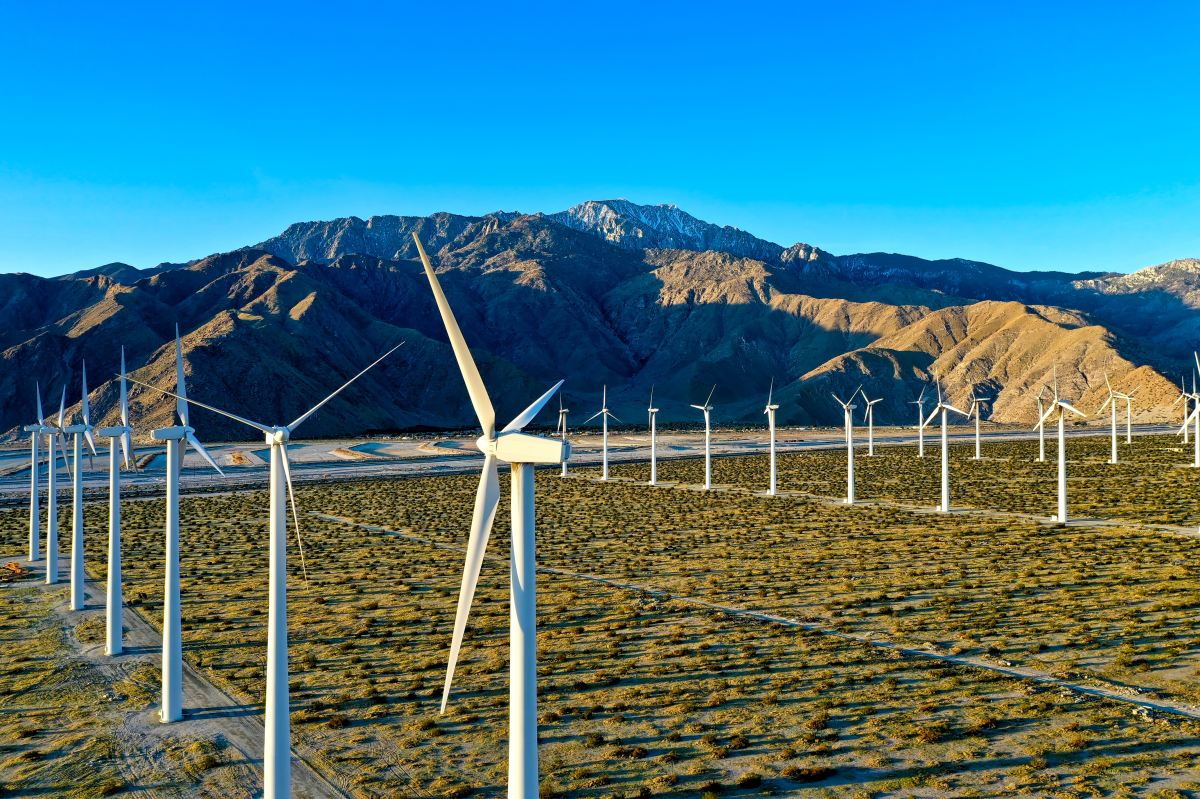 L’accord de l’UE sur les énergies renouvelables reporté sur le rôle du nucléaire dans la transition : ce que vous devez savoir sur la transition énergétique mondiale cette semaine