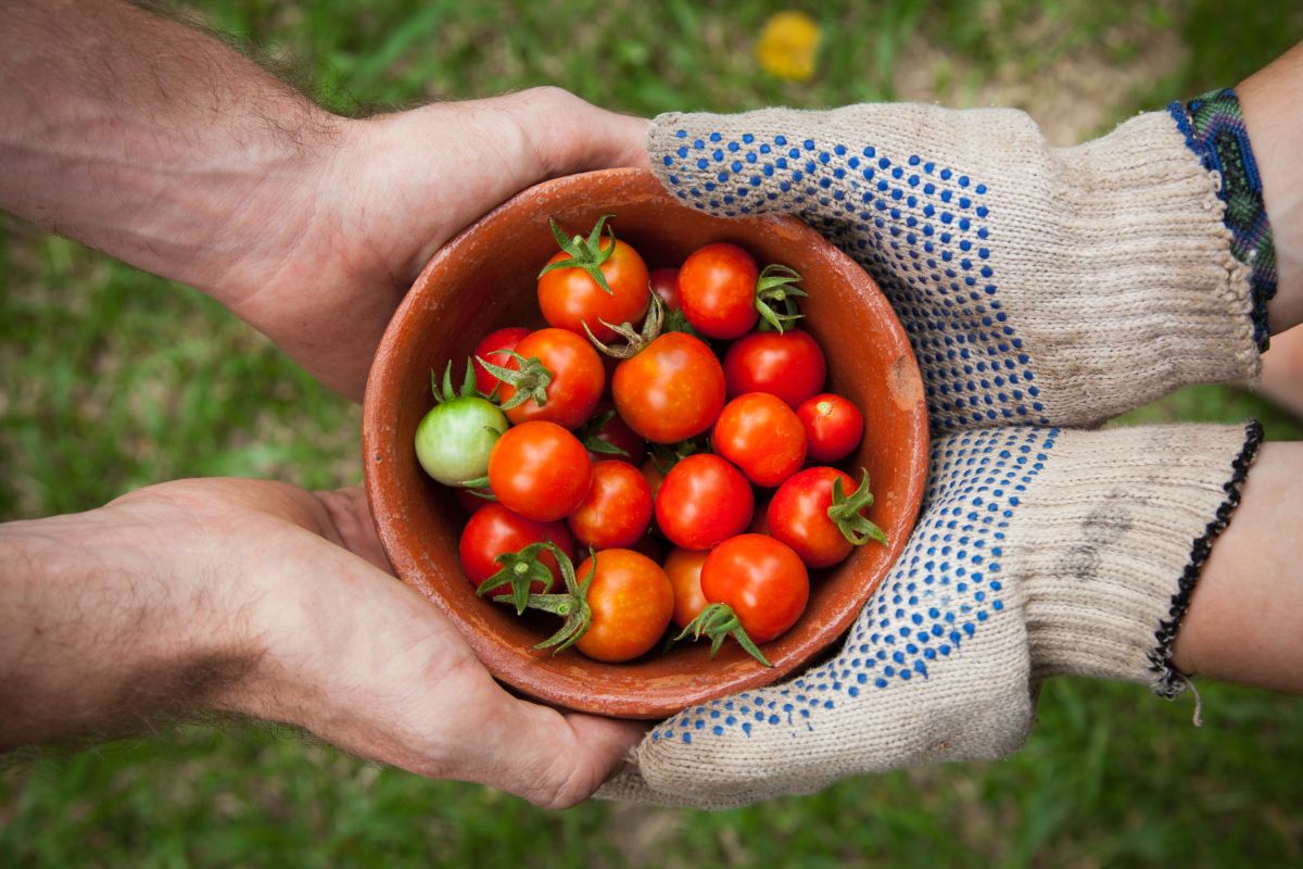 Comment mobiliser le financement de l’agriculture intelligente face au climat