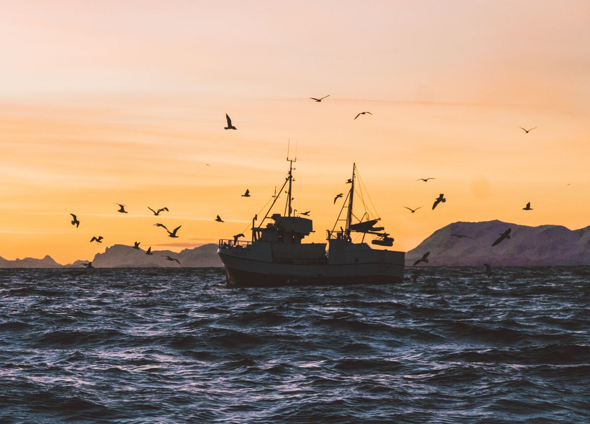 Pêche: accord trouvé sur de nouvelles règles pour améliorer la conformité et la traçabilité