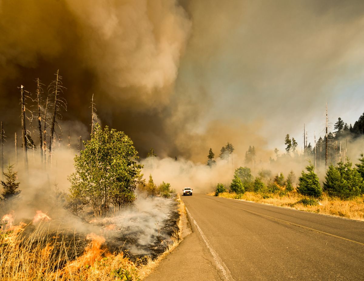 Feux de forêt : l’UE double la flotte de lutte contre les incendies de rescEU pour l’été 2023
