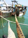 La mairie de Punta Umbría (Huelva) montre son soutien au secteur du chalutage et demande la démission du commissaire à la pêche