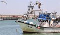 Planas affirme que l’Espagne améliorera le contrôle des produits de la pêche importés pendant la présidence européenne