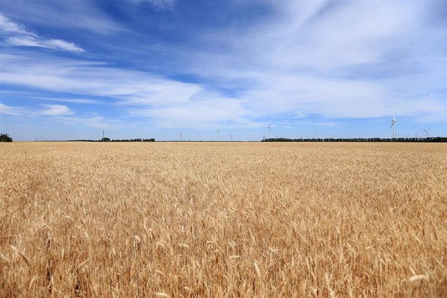 L’UE prolonge jusqu’en septembre l’embargo sur les céréales ukrainiennes dans les pays voisins