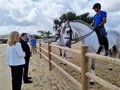Luis Planas transfère le soutien du gouvernement au Centre de reproduction équine de la Yeguada Cartuja de Jerez (Cadix)