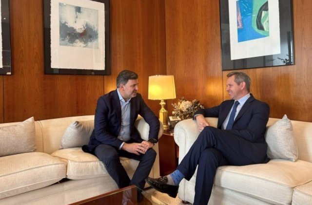 Miñones transmet au député européen Nicolás González les priorités en matière de santé pour la présidence espagnole de l’UE