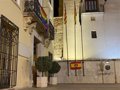 Albaida dénoncera l’homme qui a enlevé les drapeaux LGTBI de l’hôtel de ville à côté duquel un franquiste a été placé
