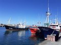 Économie-Gouvernement souligne l&rsquo;importance des accords de pêche durable entre l&rsquo;UE et l&rsquo;Afrique pour réguler l&rsquo;activité