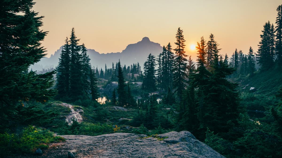 Le modèle innovant de financement climatique qui a protégé plus de 120 millions d&rsquo;hectares d&rsquo;écosystème