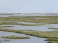 Les écologistes rejettent le projet de dragage de l’estuaire de Piedras (Huelva) « sans approuver le plan de gestion » de la zone