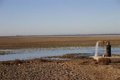 Les organisations environnementales remettront plus de 260 000 signatures à l’UE contre le PDL de l’irrigation à Doñana (Huelva)