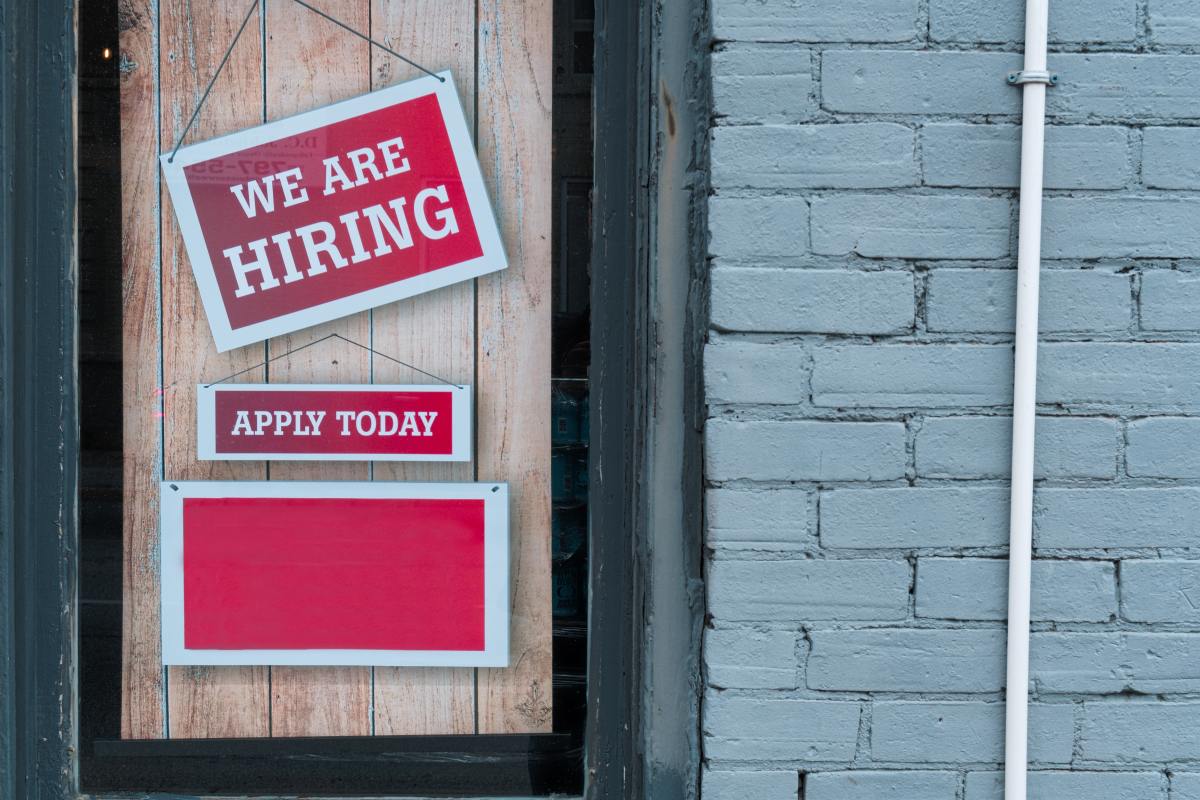Les références climatiques sont un facteur clé pour les jeunes Européens lors de la recherche d’emploi, selon une enquête