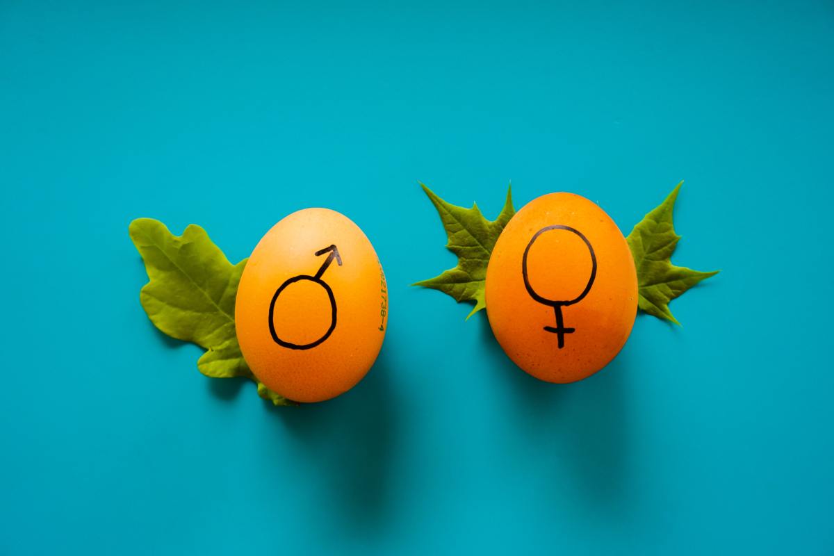 Une nouvelle application de corvées peut-elle encourager les hommes à faire plus de tâches ménagères et aider à réduire l’écart entre les sexes ?