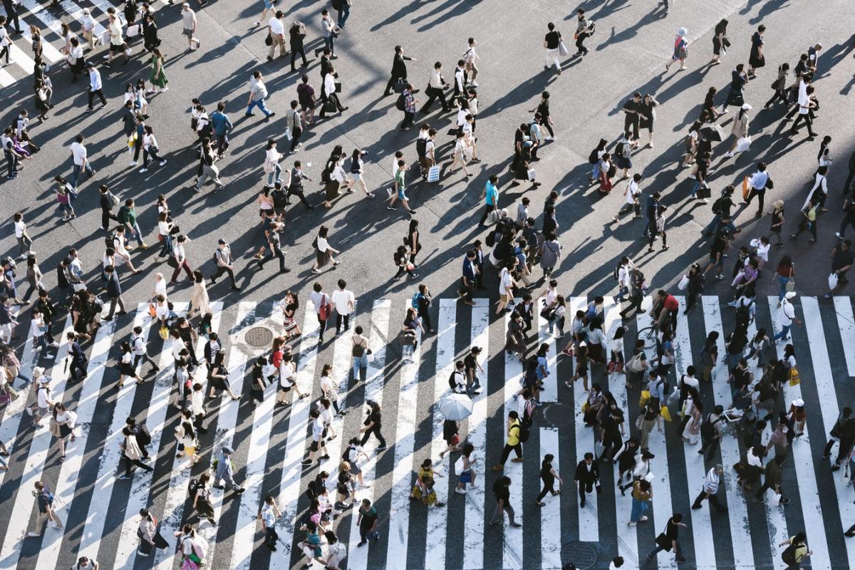 Verrouillage des cornes : les soins de santé à l’ère de la surpopulation