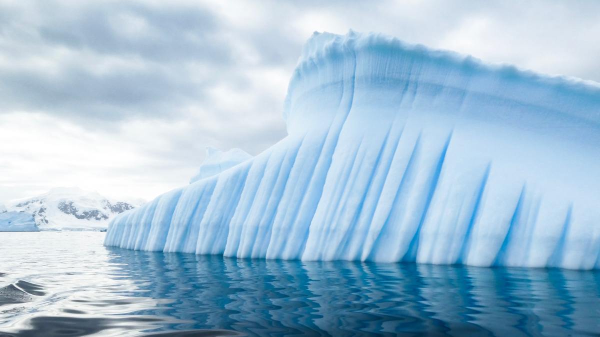 Les nations du monde lancent un fonds historique pour protéger la nature, et d’autres histoires sur la nature et le climat que vous devez lire cette semaine