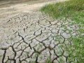 La dégradation des sols coûte au citoyen européen « l’hémorragie » de 112 euros par an, selon l’Université de Bonn