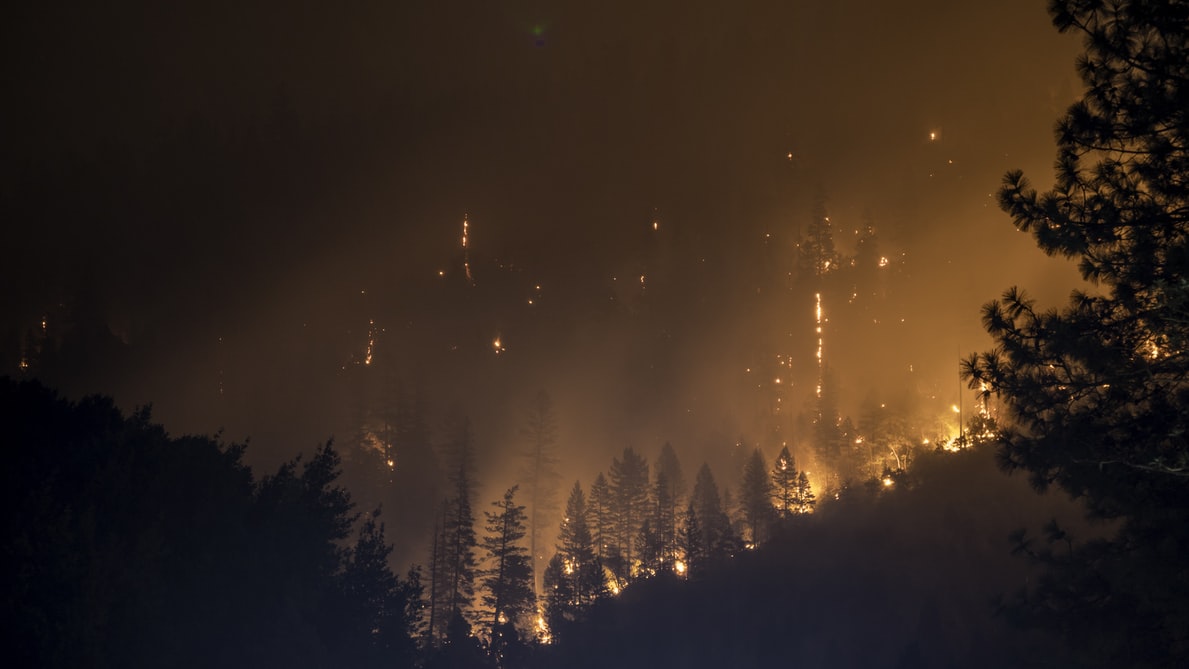 Les forêts en feu du Canada nous rappellent pourquoi nous avons besoin de crédits de carbone
