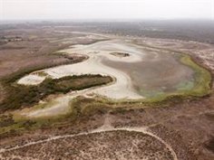 « Sauver Doñana ne nécessite pas de miracle, le gouvernement andalou doit respecter la loi »
