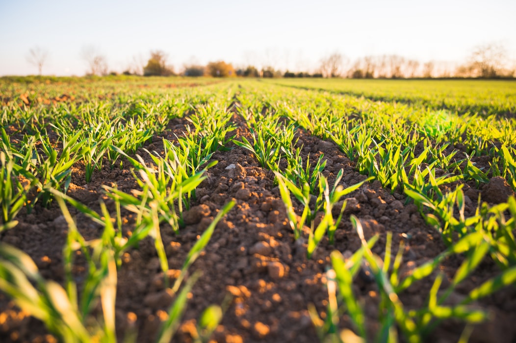 Libérer le potentiel de l’agriculture régénérative grâce aux synergies public-privé
