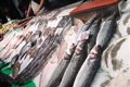 Ils considèrent les activités de pêche et d’aquaculture comme des « clés » pour garantir l’autonomie alimentaire stratégique de l’UE.