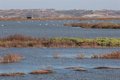 Le parquet enquête sur les prélèvements d’eau dans la région de Doñana au cas où il y aurait une responsabilité environnementale