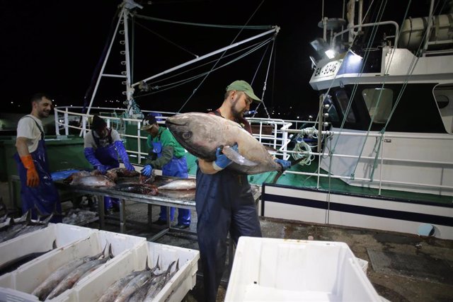 La CJUE tient l&rsquo;audience les 23 et 24 octobre pour l&rsquo;inclusion du Sahara dans l&rsquo;accord de pêche UE-Maroc