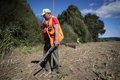 La Fédération royale espagnole de chasse demande à l’UE de rendre plus flexible l’importation d’armes pour les chasseurs étrangers
