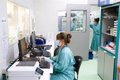 L’UE alloue 5,7 millions à une étude visant à créer un vaccin contre le virus du Nil occidental